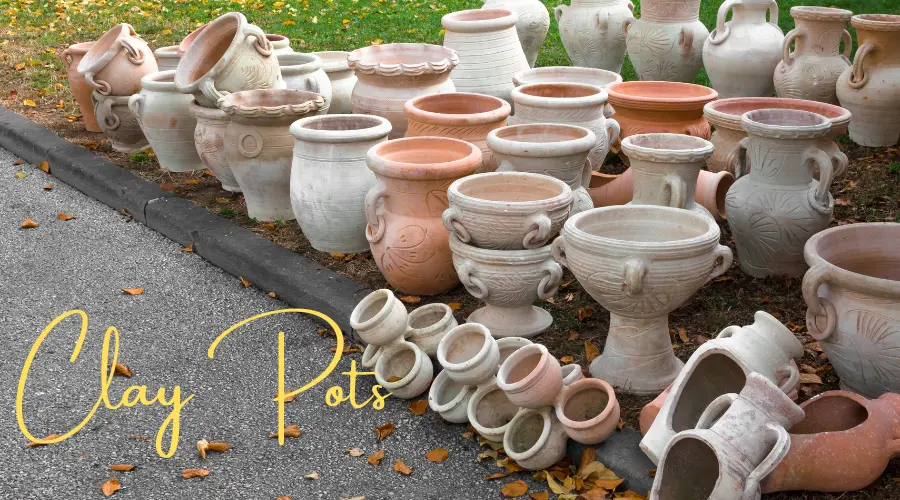 Clay Pots