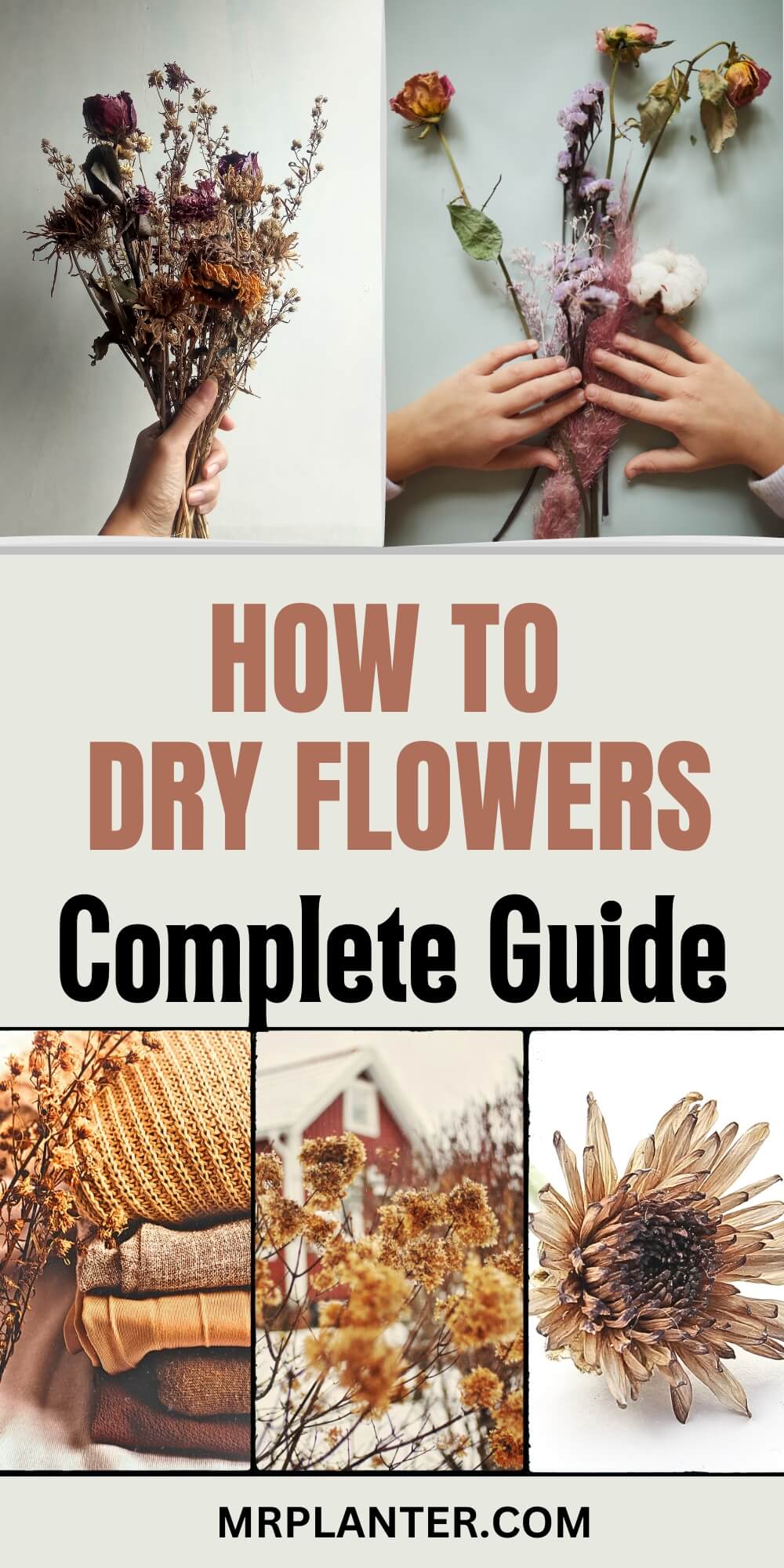 Drying flowers