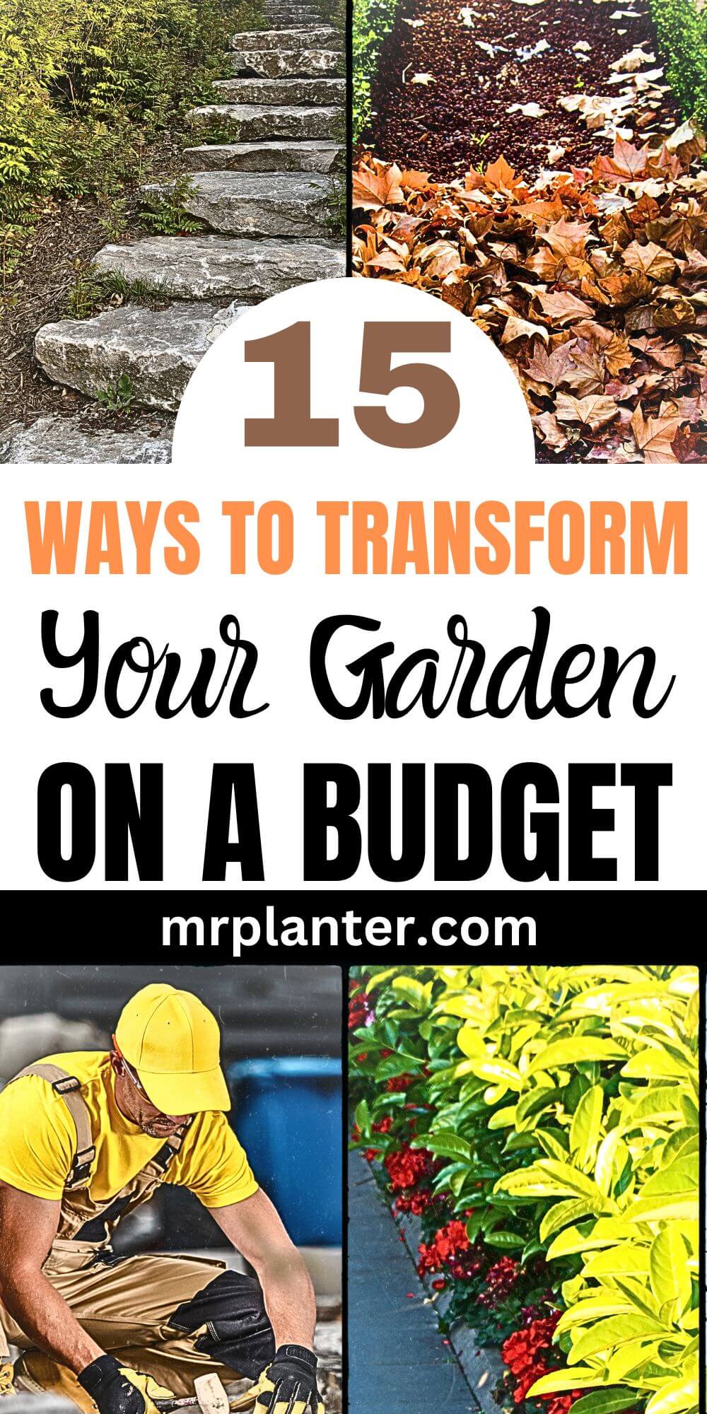 15 Amazing Ways to Transform Your Garden on a Budget