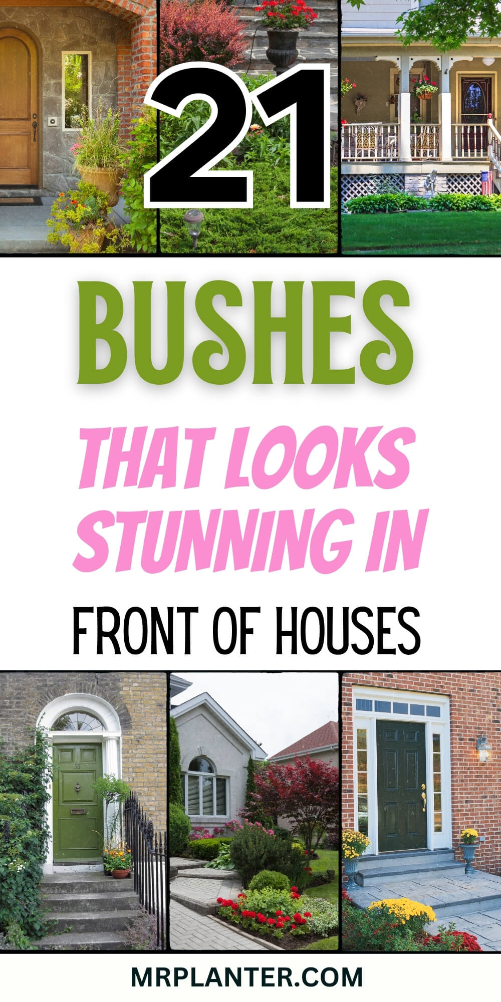 Bushes in Front of House