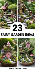 Fairy Garden Ideas