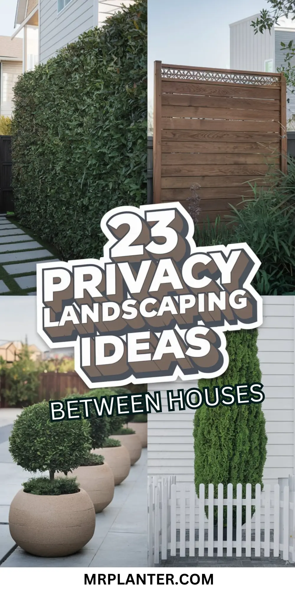 23 Privacy Landscaping Ideas Between Houses