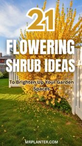 flowering shrub ideas