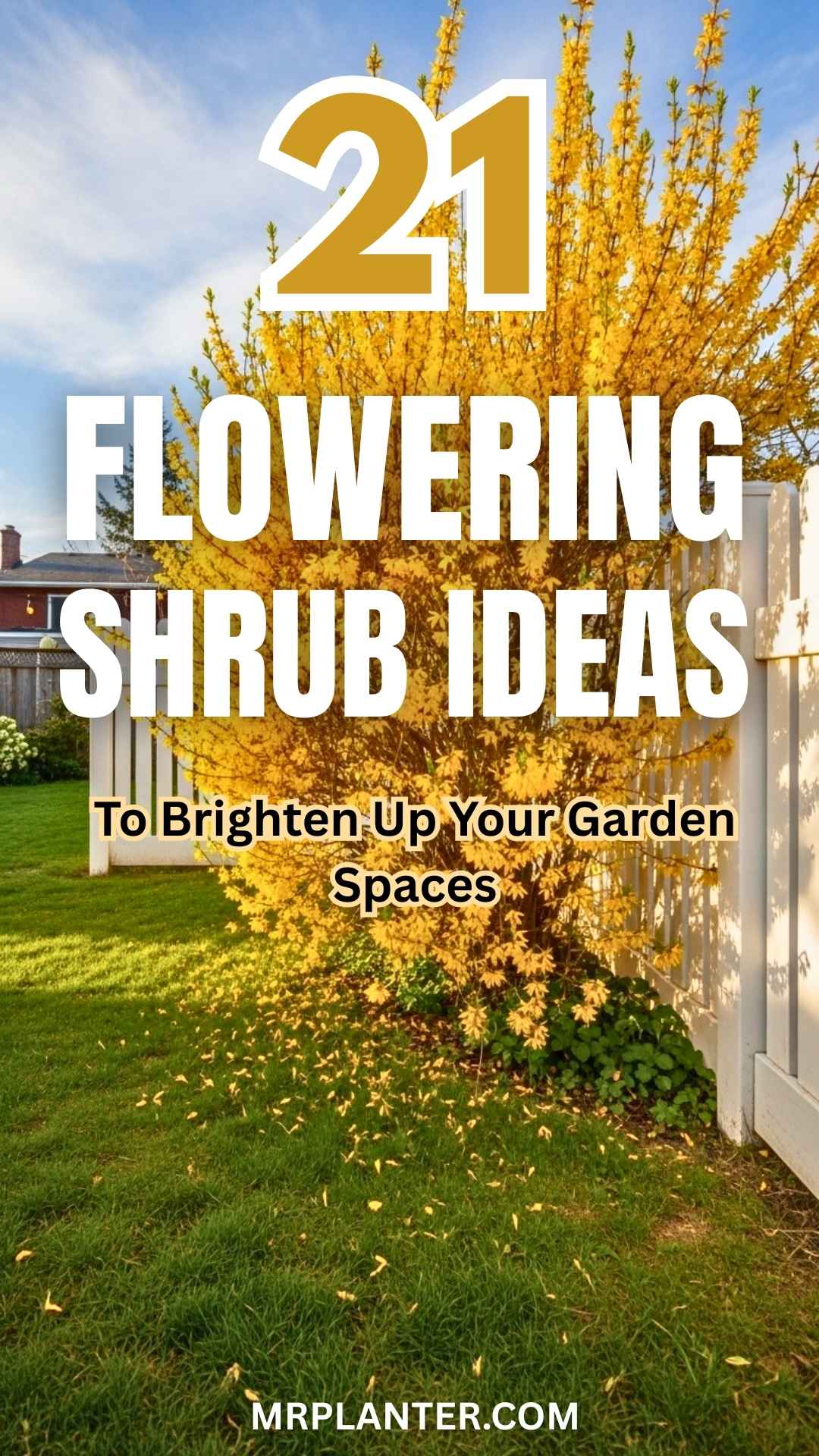 Brighten Up Your Garden Spaces with these 21 Flowering Shrubs