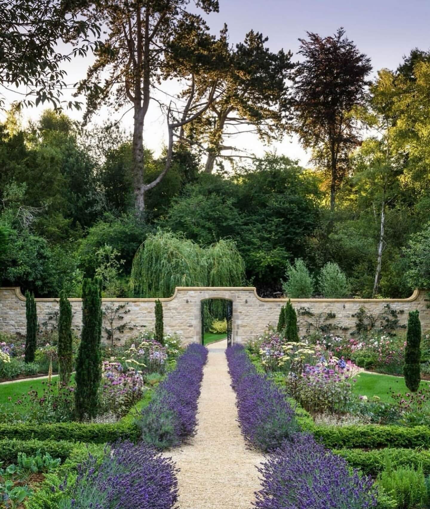 Lavender garden