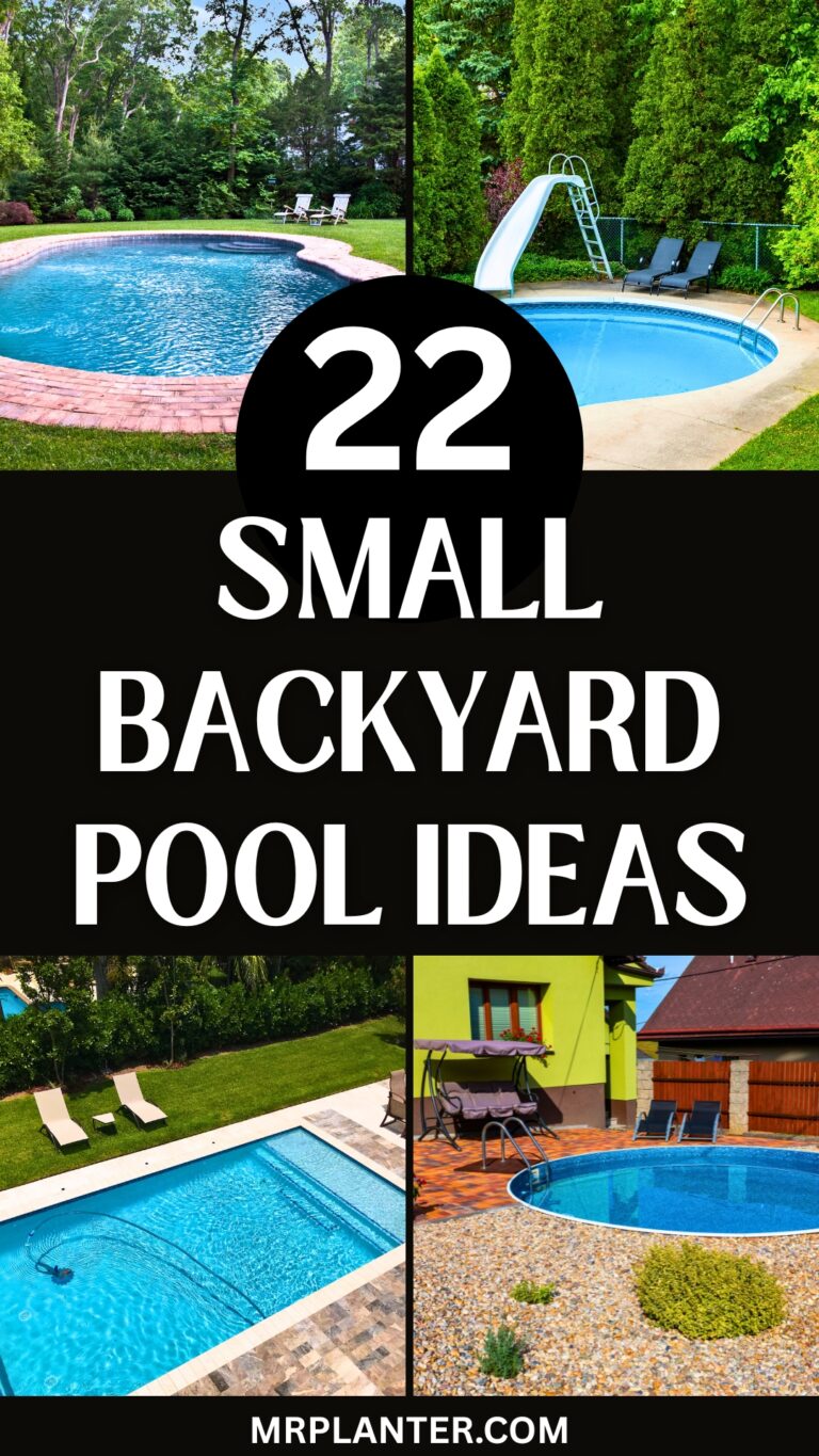Small Backyard Pool Ideas