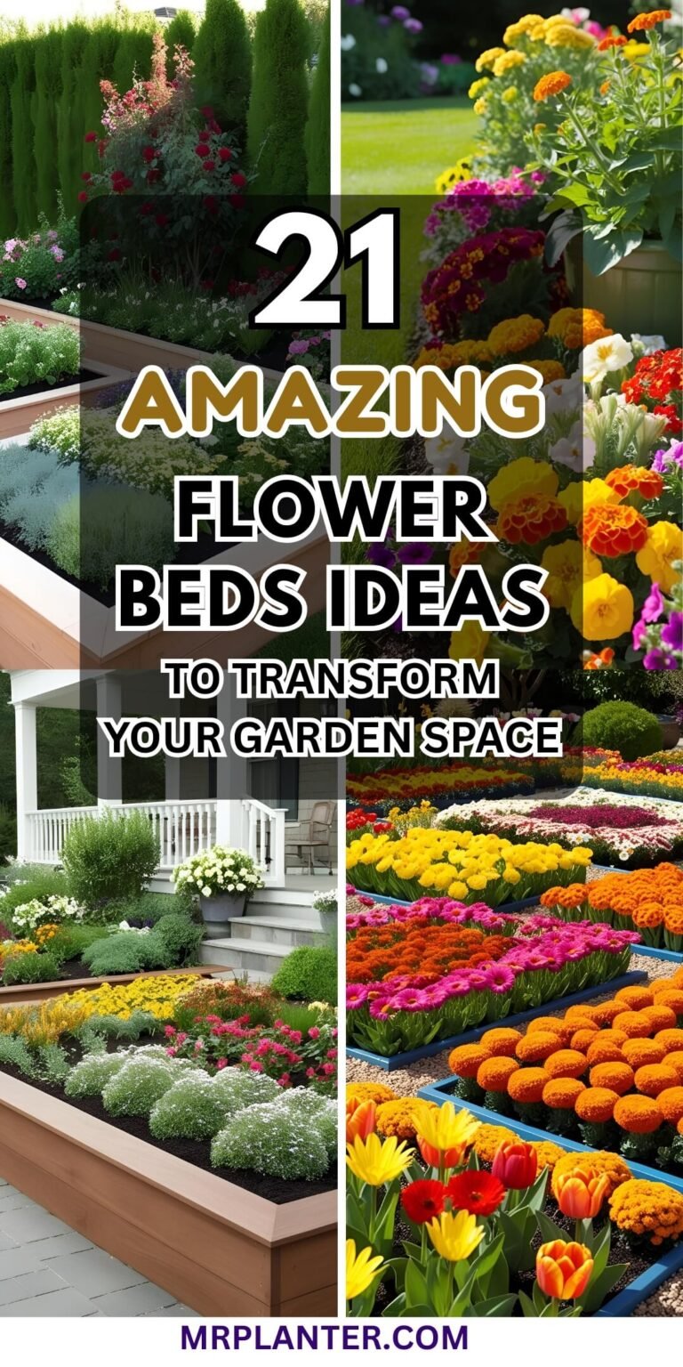 Flower Beds Ideas