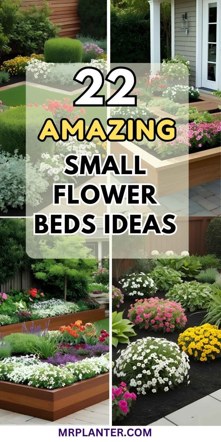 Small flower bed ideas
