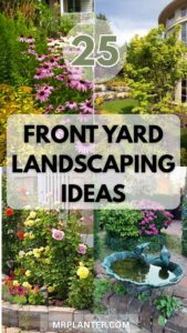 Front Yard Landscaping Ideas