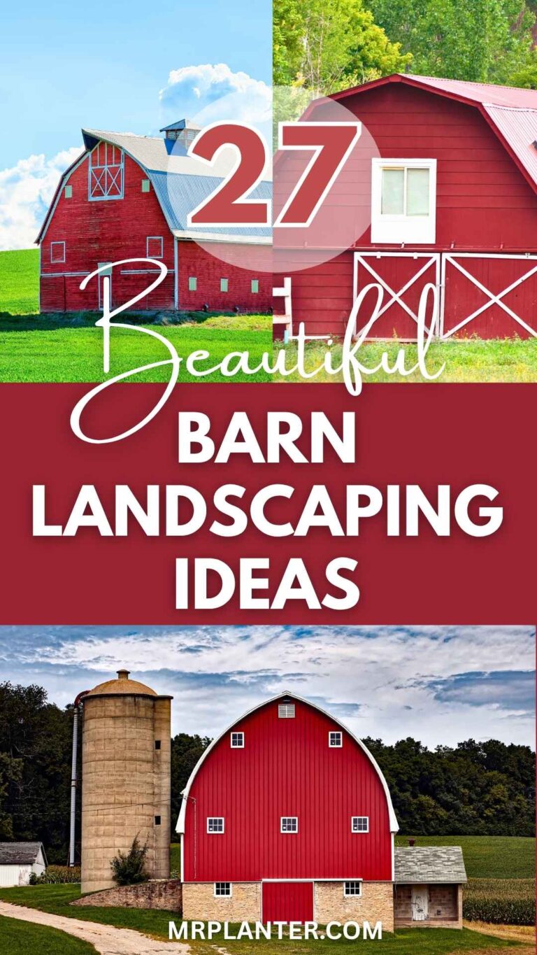 Barn Landscaping Ideas