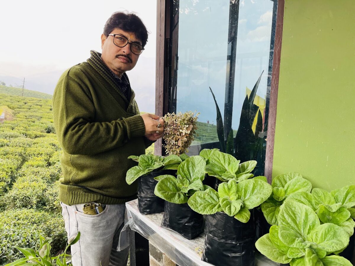 Photo of Tarun Saha observing Plants near Temi Tea Estate
