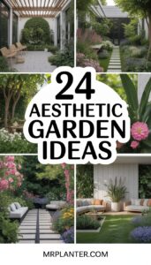 Aesthetic Garden Ideas