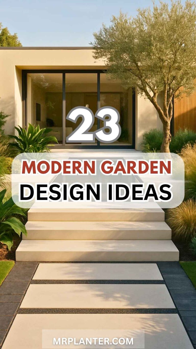 The clean, minimalist entrance of a modern home with wide concrete steps. A paved walkway leads to the entrance, flanked by an olive tree and lush ornamental grasses. This landscape is a perfect example of the sleek and simple aesthetic found in modern garden design ideas.