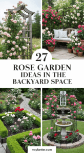 Rose Garden Ideas