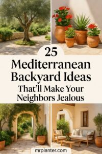 Mediterranean Backyard Ideas