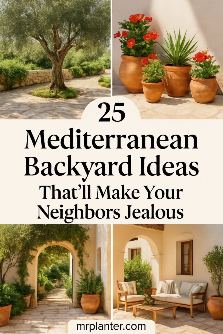 Mediterranean Backyard Ideas