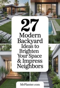 Modern Backyard Ideas