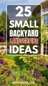 Small Backyard Landscaping Ideas