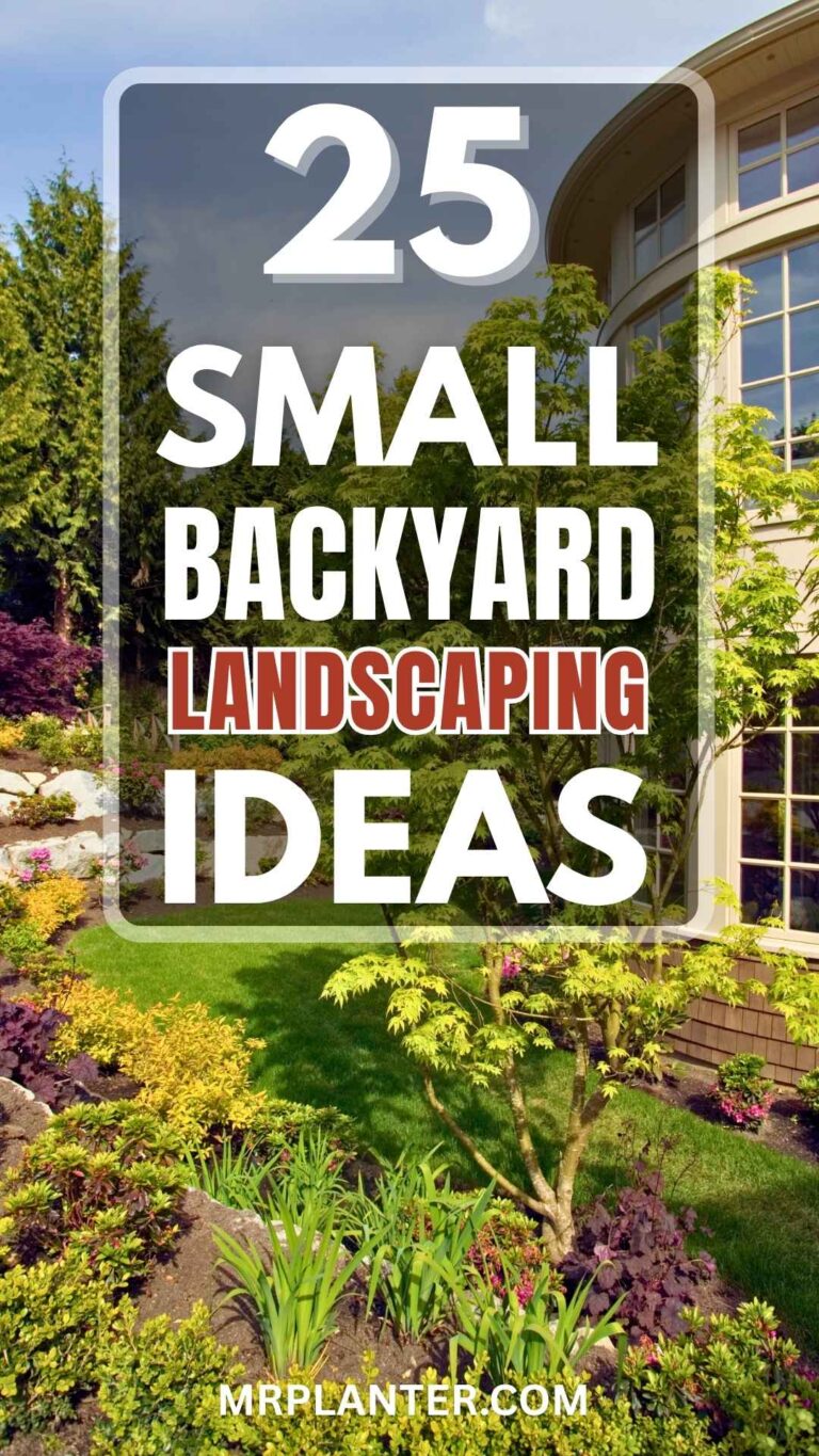 Small Backyard Landscaping Ideas