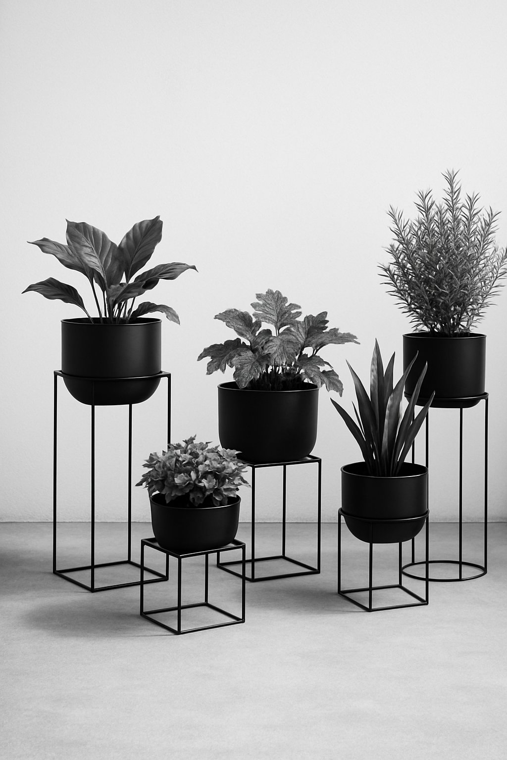 Outdoor patio with black wire planters holding various green plants arranged neatly on the floor.