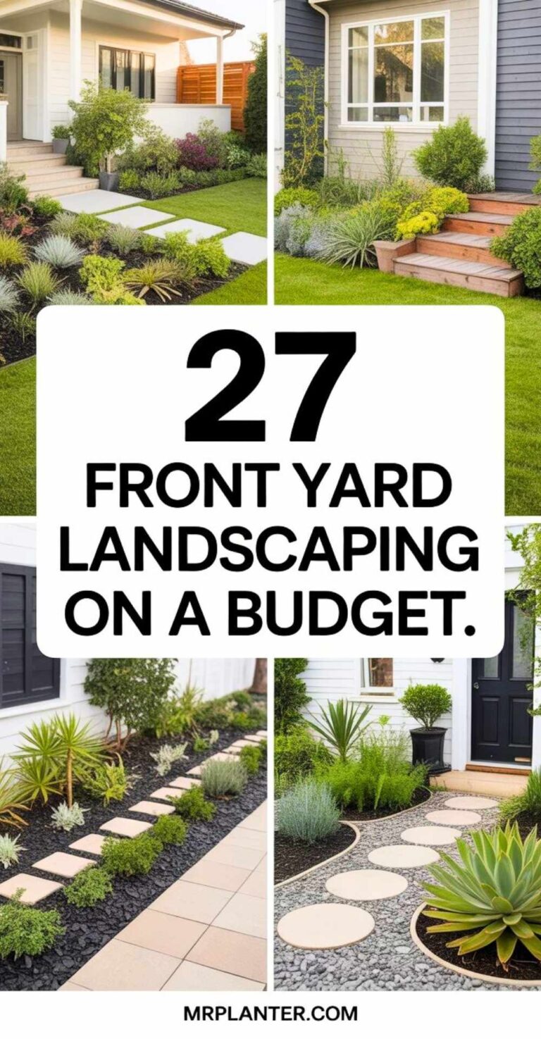 Front Yard Landscaping On A Budget