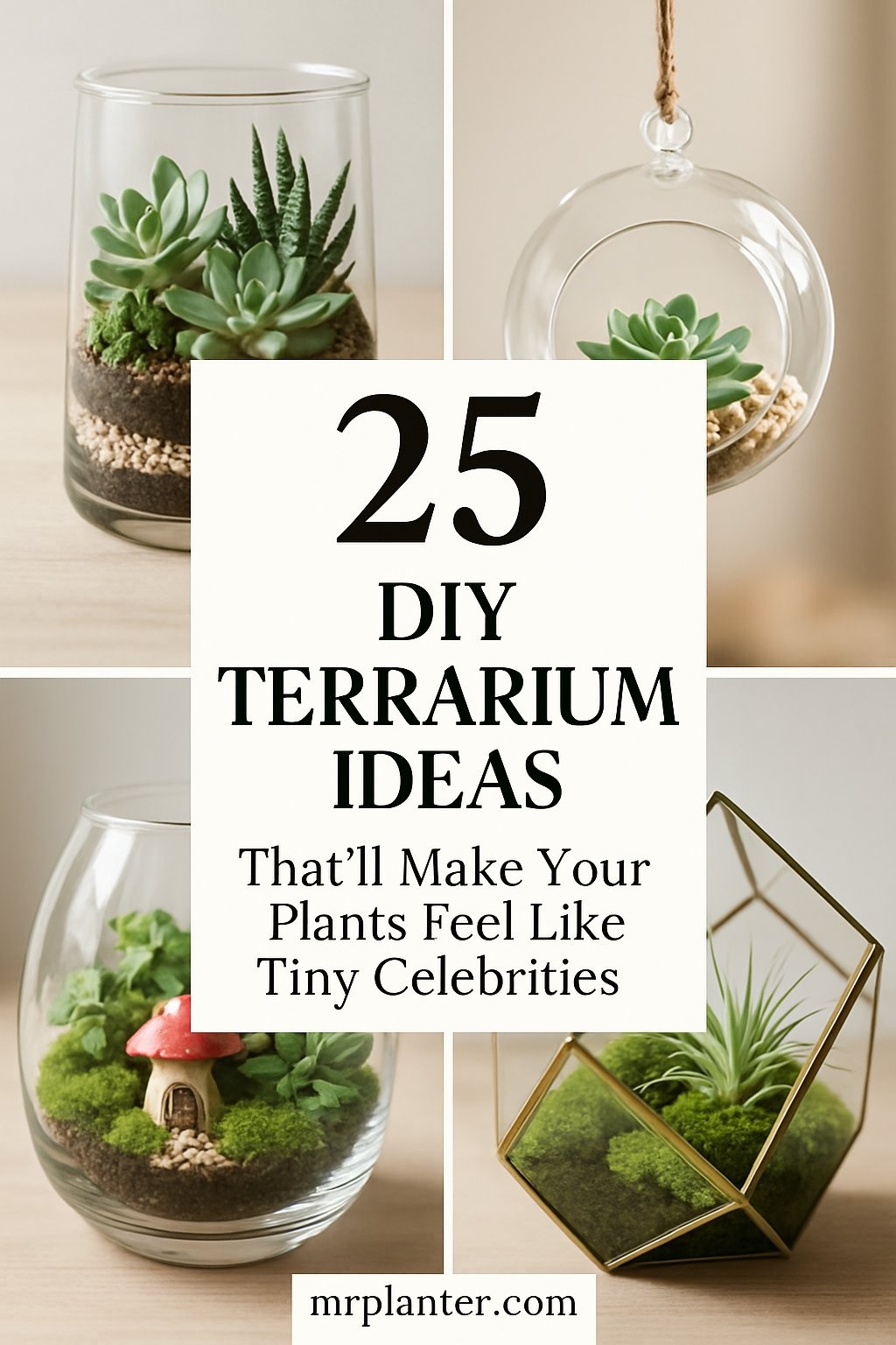 25 DIY Terrarium Ideas That’ll Make Your Plants Feel Like Tiny Celebrities