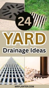 Yard Drainage Ideas