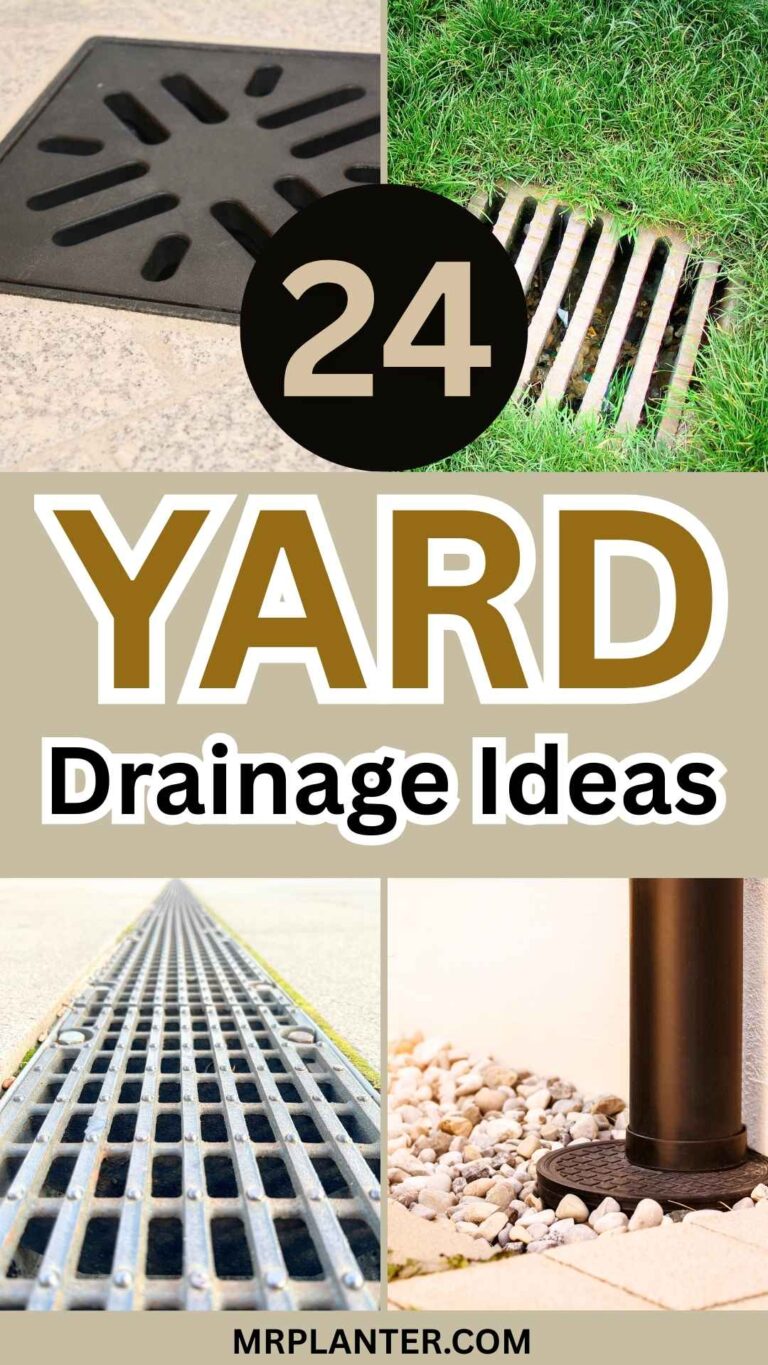 Yard Drainage Ideas