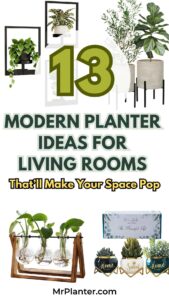 Modern Planter Ideas for living room