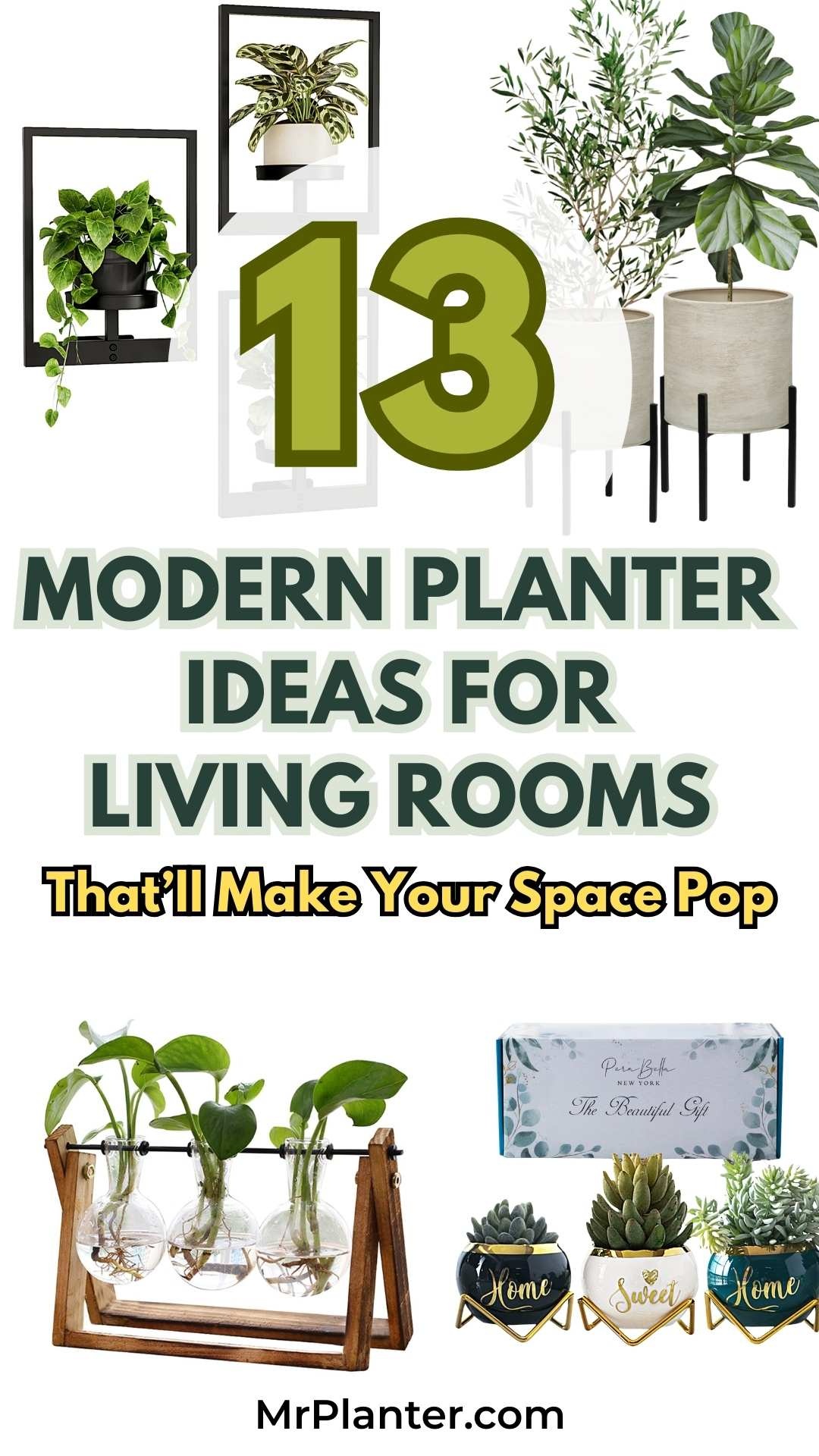 Modern Planter Ideas for Living Rooms (13 to Try)