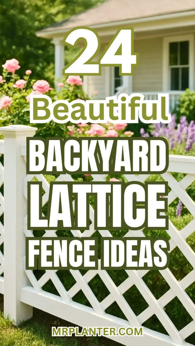 Backyard Lattice Fence Ideas