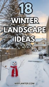 Winter Landscape Ideas