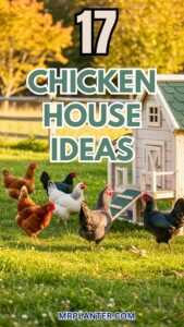 Chicken House Ideas