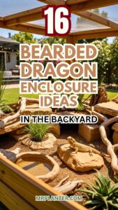Bearded Dragon Enclosure Ideas