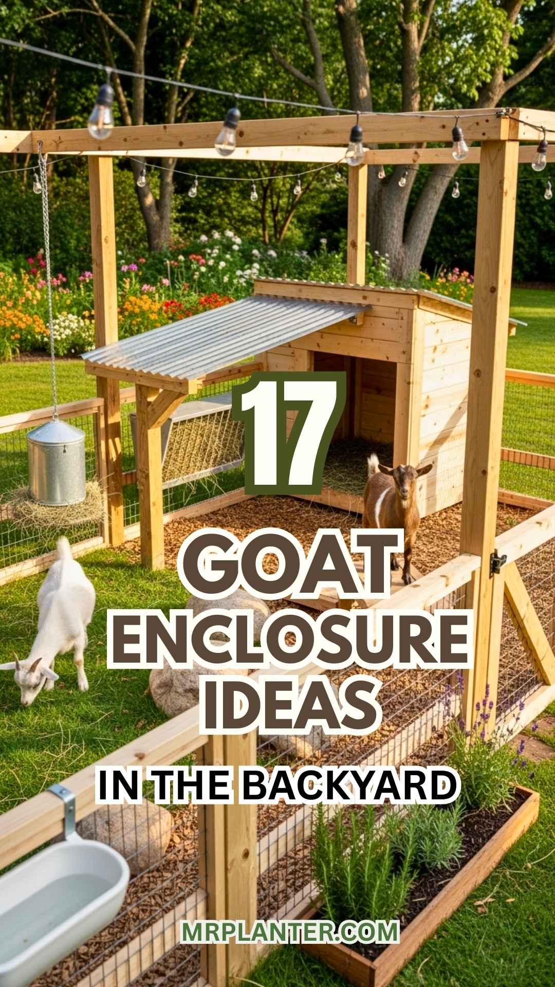 Goat Enclosure Ideas
