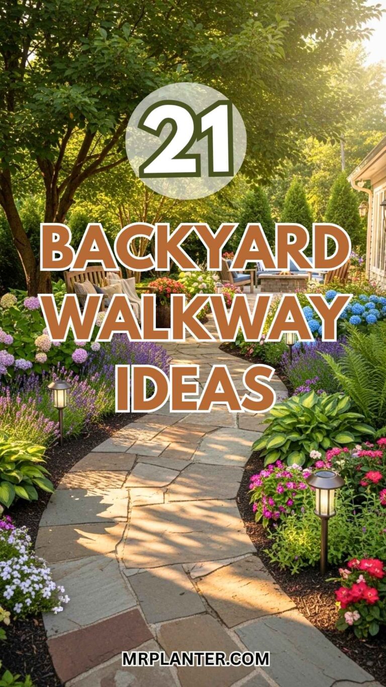 Backyard Walkway Ideas