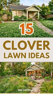Clover Lawn Ideas: 17 Fresh Backyard Looks Clover Lawn Ideas