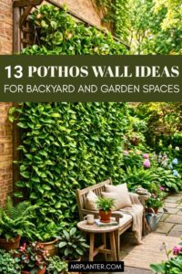 13 Pothos Wall Ideas For Backyard And Garden Spaces pothos wall ideas