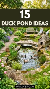 15 Duck Pond Ideas For Backyard Flocks Duck Pond Ideas