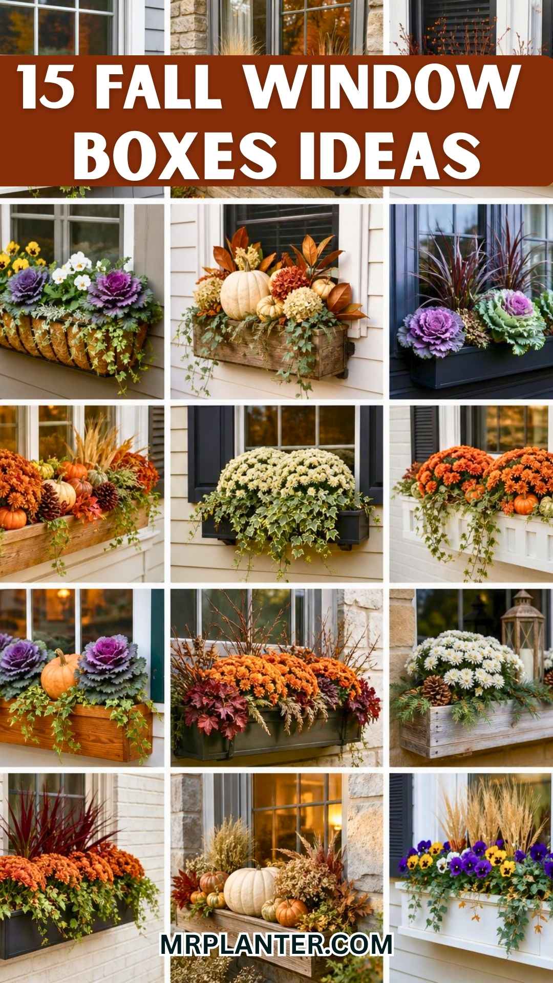Fall Window Boxes Ideas