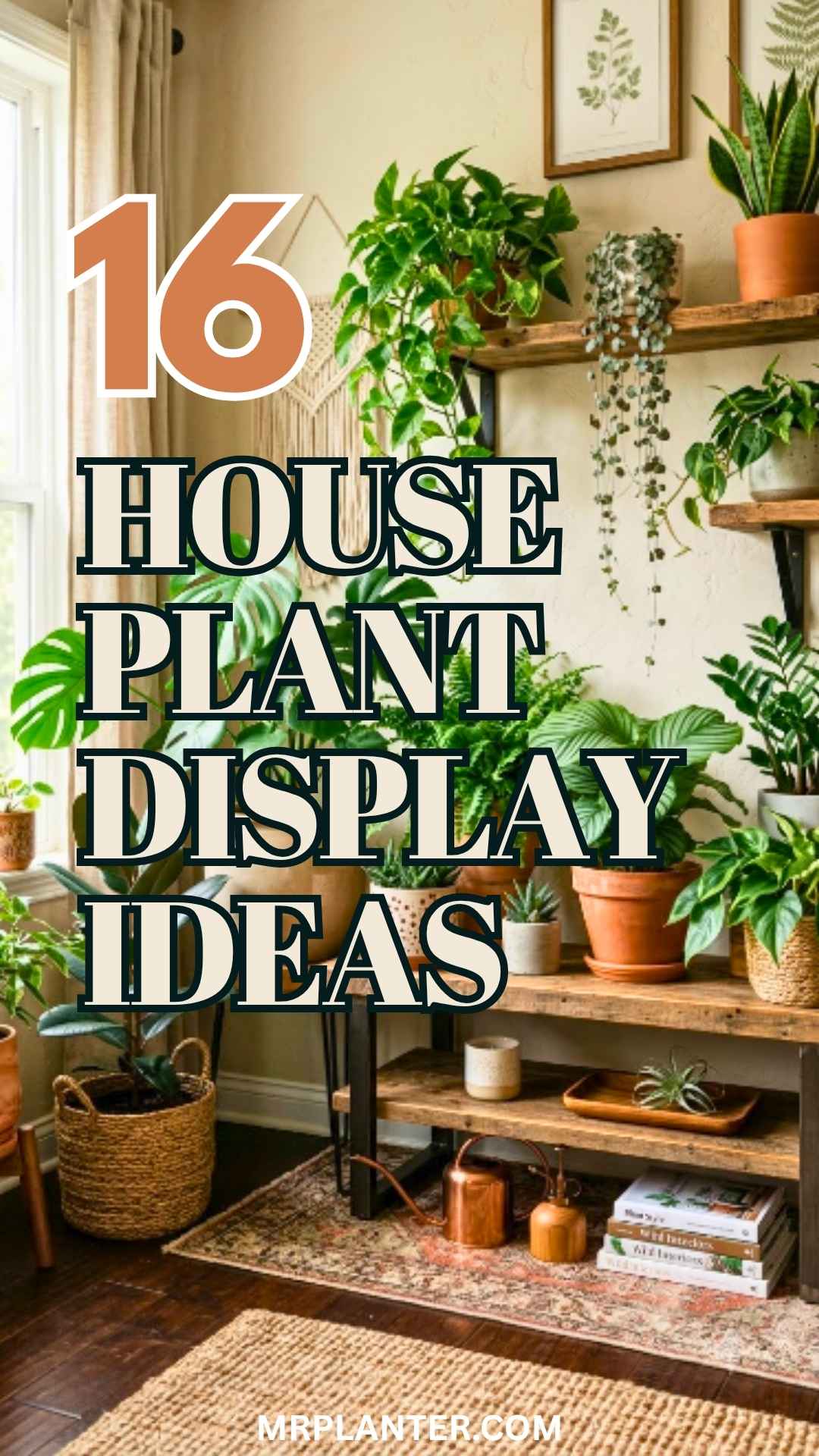 House Plant Display Ideas
