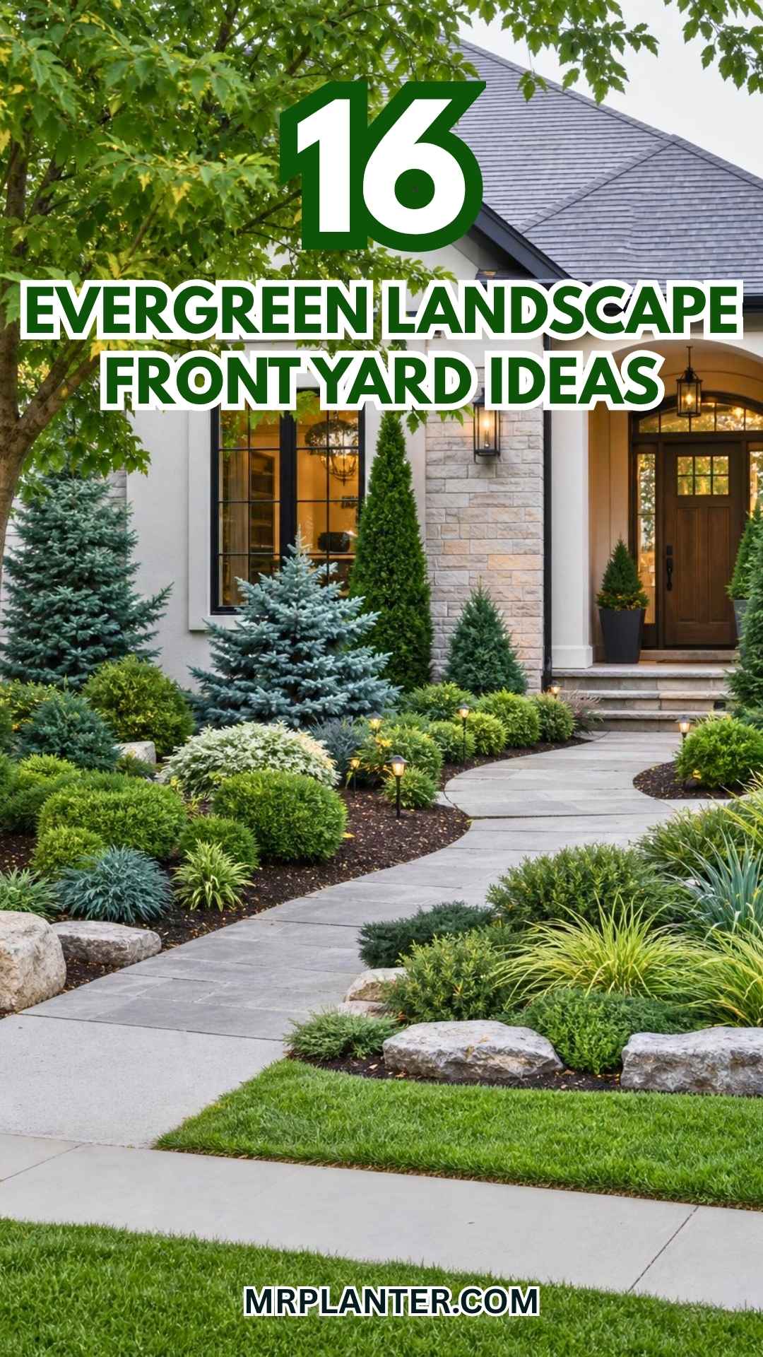 Evergreen Landscape Front Yard Ideas