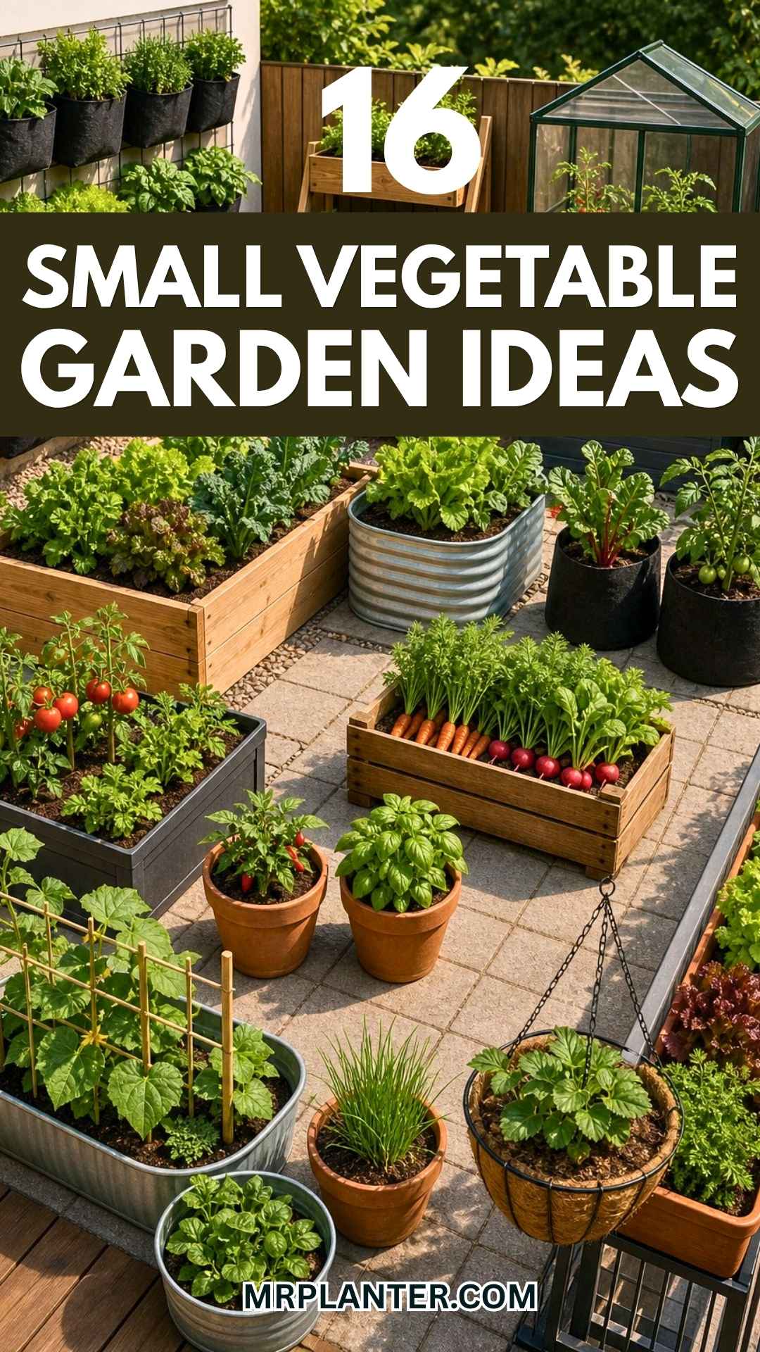 Small Vegetable Garden Ideas