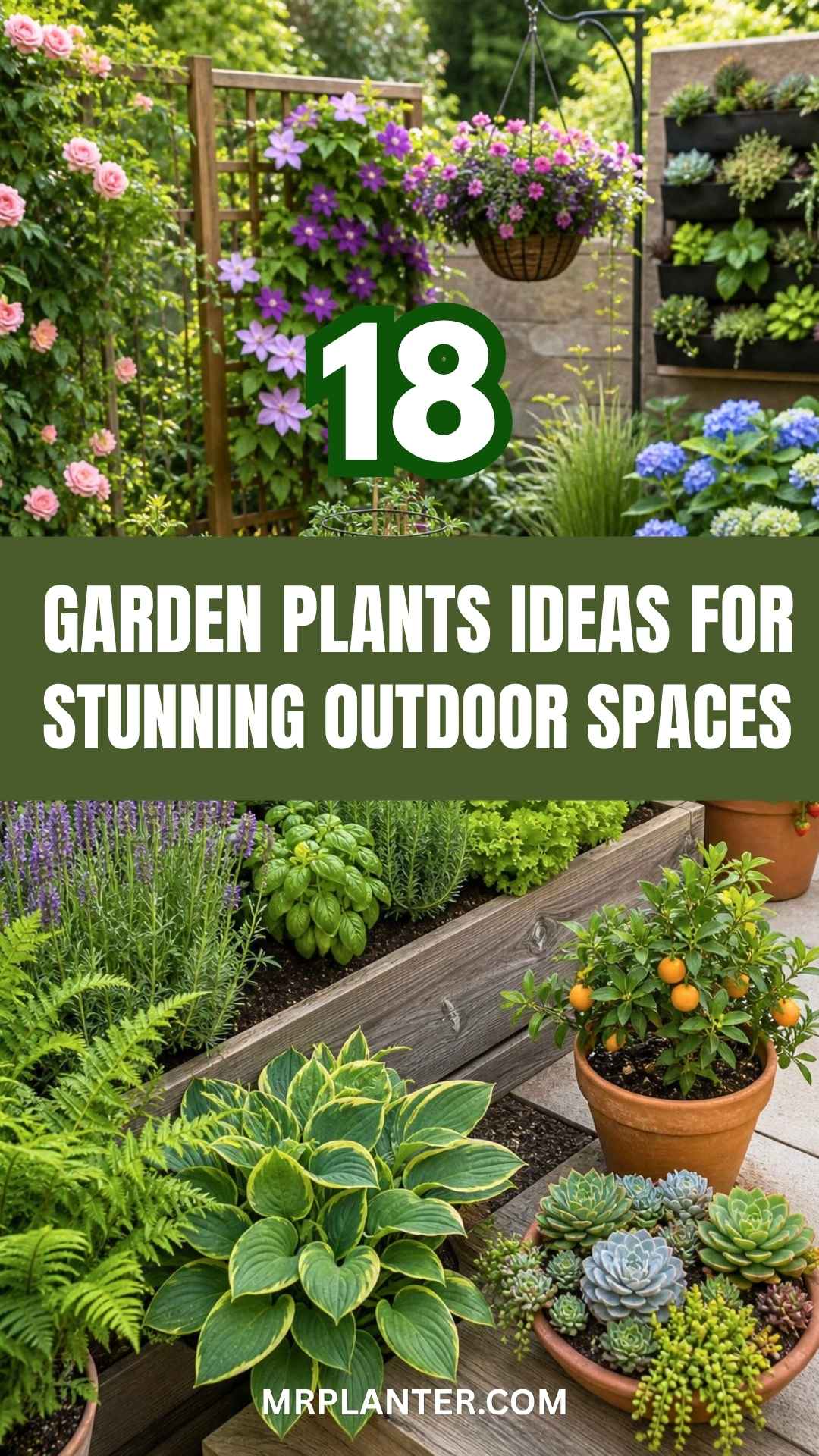 Garden Plants Ideas